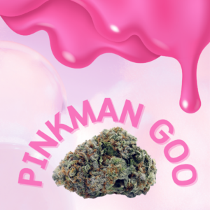 pinkman goo aaaa